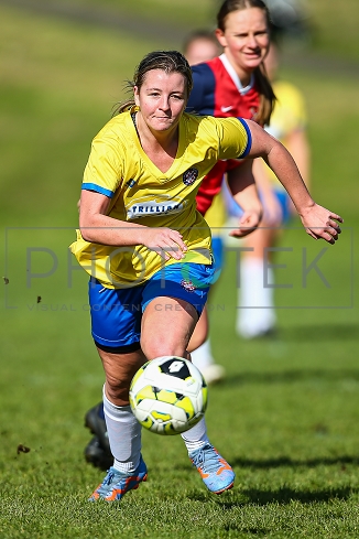 230611pt25.jpg