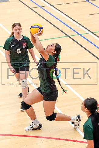 231124pt154.jpg