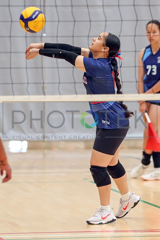 241119pt311.jpg