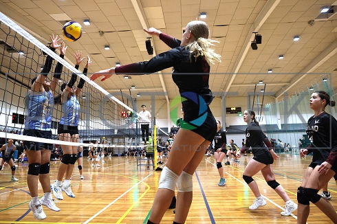 241121pt074.jpg