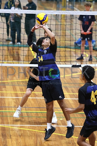 241121pt113.jpg