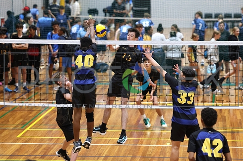 241121pt114.jpg