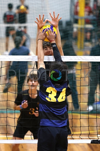 241121pt125.jpg