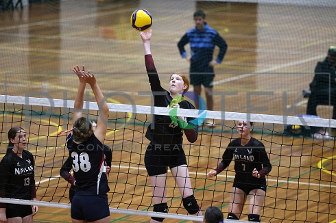 241121pt156.jpg