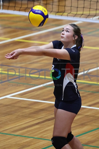 241121pt157.jpg