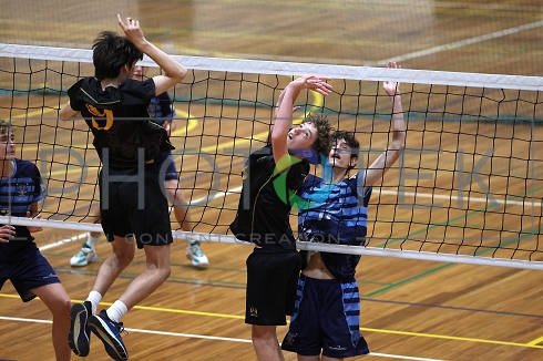 241121pt174.jpg