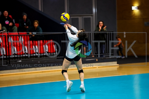 231007pt515.jpg